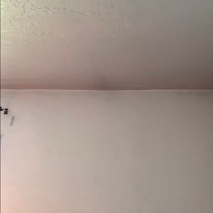 Meet your Posher, Willow